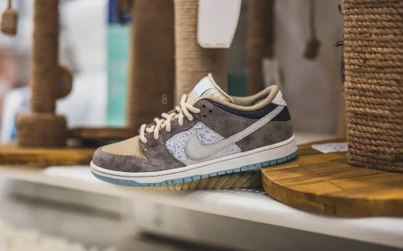 Nike SB Dunk – modelul preferat al skaterilor