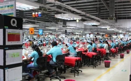 Fabricile de haine: istorie, tendințe și viitor